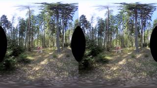 Verifique a sua idade