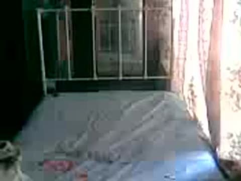 Verifique a sua idade