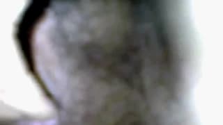 Uma bunda peluda fica nua para você! Uma bunda peluda fica nua para você!