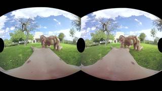 Sara se exibe, se masturba e se ajoelha para sentir um pênis