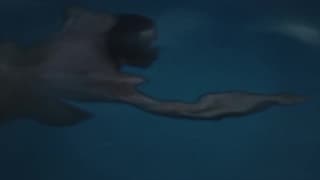 Verifique a sua idade