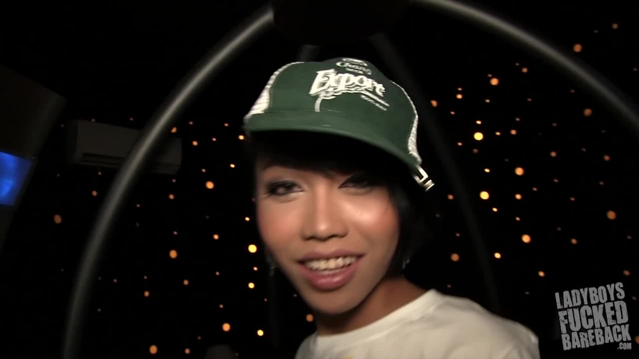 Verifique a sua idade