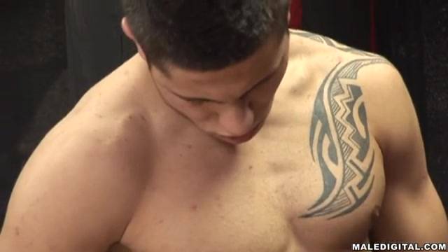 Verifique a sua idade