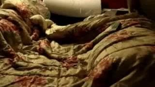 Verifique a sua idade