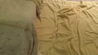 Verifique a sua idade