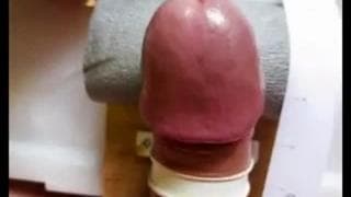 Ferramenta caseira para masturbação! Ferramenta caseira para masturbação!