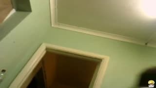 Verifique a sua idade