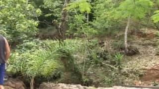 Verifique a sua idade