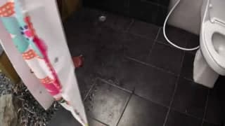 Verifique a sua idade