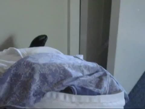 Verifique a sua idade