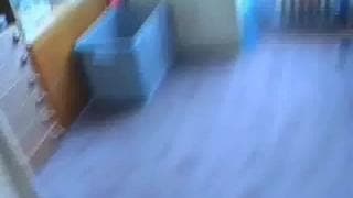 Verifique a sua idade