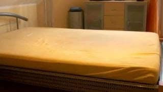 Verifique a sua idade