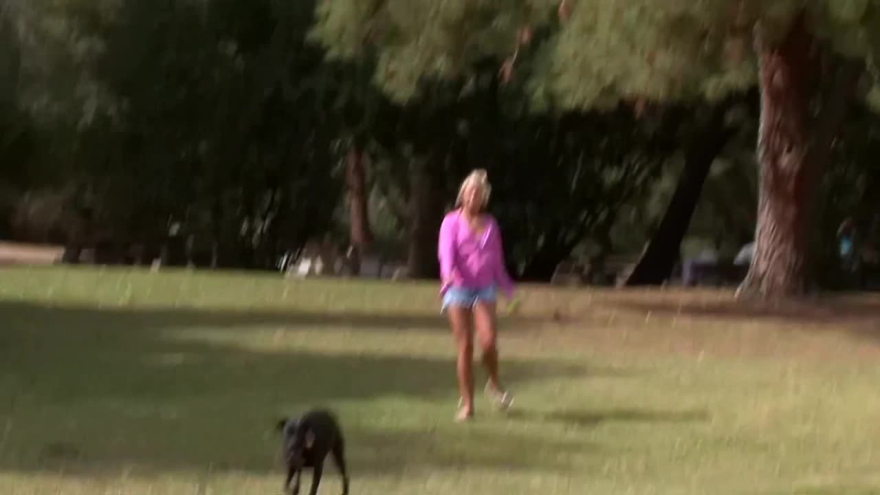 Verifique a sua idade