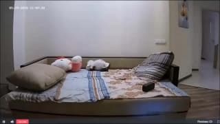 Verifique a sua idade