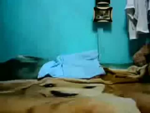 Verifique a sua idade