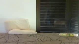 Verifique a sua idade