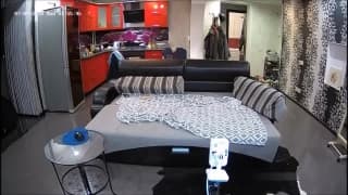 Verifique a sua idade