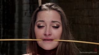 Dani Daniels Divinamente Subjugada Hoje Dani Daniels Divinamente Subjugada Hoje