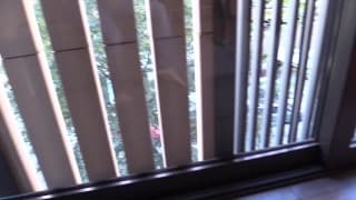 Verifique a sua idade