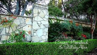 Verifique a sua idade