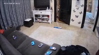 Verifique a sua idade