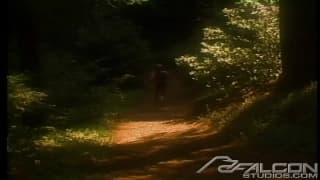 Verifique a sua idade