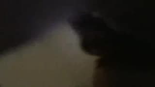 Verifique a sua idade