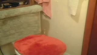 Verifique a sua idade