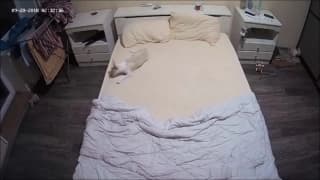 Lola tem um momento incrível fodendo com seu namorado na cama Lola tem um momento incrível fodendo com seu namorado na cama