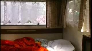 Verifique a sua idade