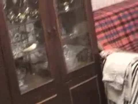 Verifique a sua idade