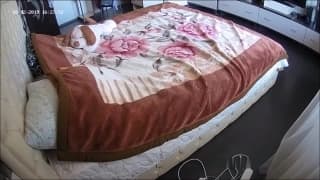 Verifique a sua idade