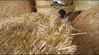 Casal de avós transando no celeiro !