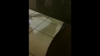 Verifique a sua idade