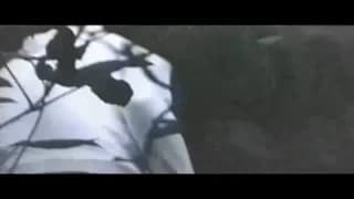 Verifique a sua idade