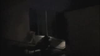 No meio da escuridão, tudo acontece