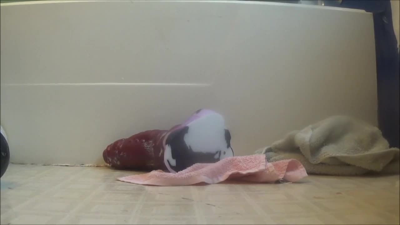 Verifique a sua idade