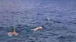 Sexo intenso e gostoso sob a água do mar