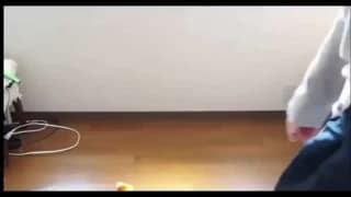 Verifique a sua idade