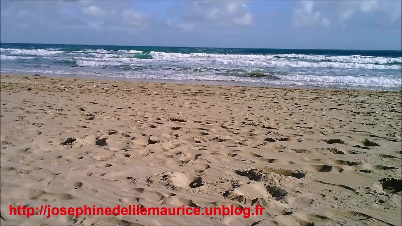 Verifique a sua idade