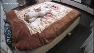 O casal faz sexo em 69 com muito prazer