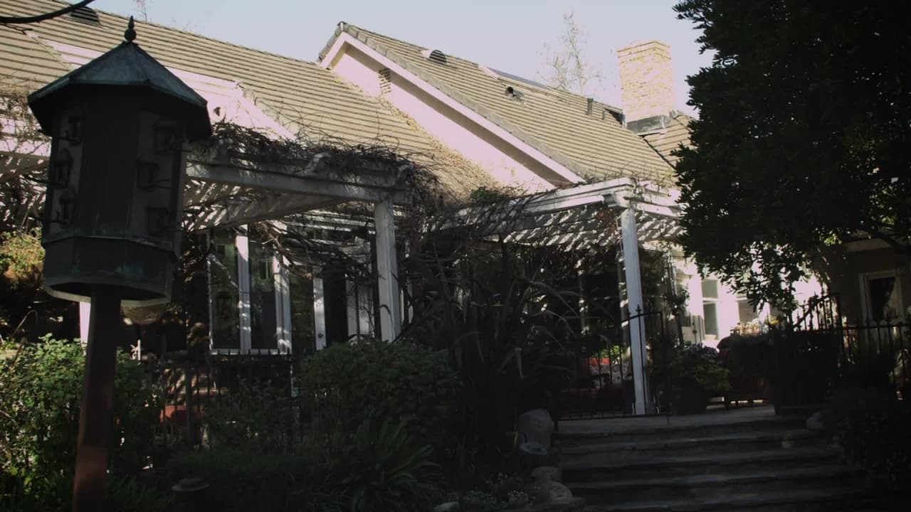 Verifique a sua idade