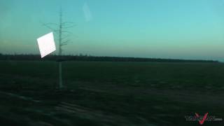 Verifique a sua idade