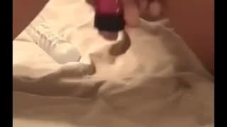 Verifique a sua idade