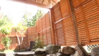 Verifique a sua idade