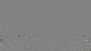 Alexis Adams em um Mágico de Oz sexy