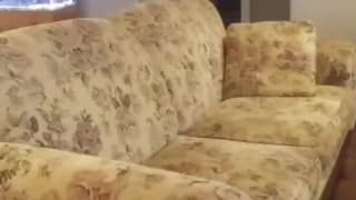 Verifique a sua idade