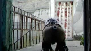 O gay vai para a varanda com seu brinquedo na bunda