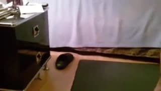 Quando os vizinhos fodem, o edifício inteiro os ouve.