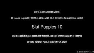 Verifique a sua idade